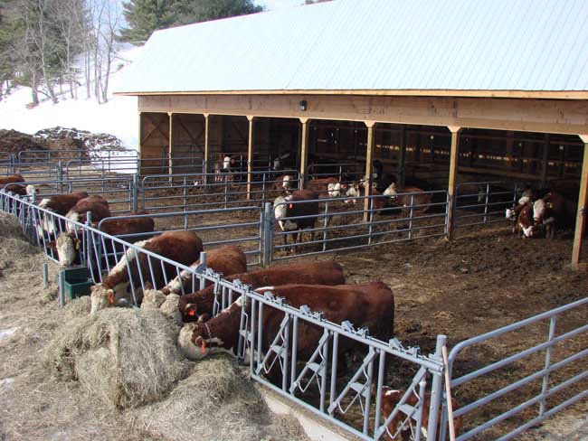 Cattle Shed Designs | Joy Studio Design Gallery - Best Design